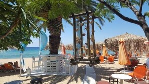 Un área de descanso en la playa con sombrillas y sillas reclinables, una palmera y vista al mar.