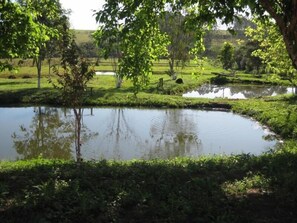 View from property - Pousada Recanto do Teimoso - Pouso Alegre (Pouso Alegre)