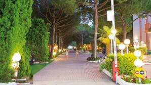 Un chemin pavé, bordé d’arbres et éclairé par des lampadaires.