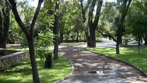 Un camino pavimentado serpentea por un parque con árboles y un muro de piedra a un lado.