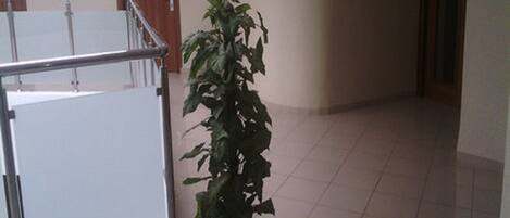 Un passadís amb una planta en test, un extintor i una porta.
