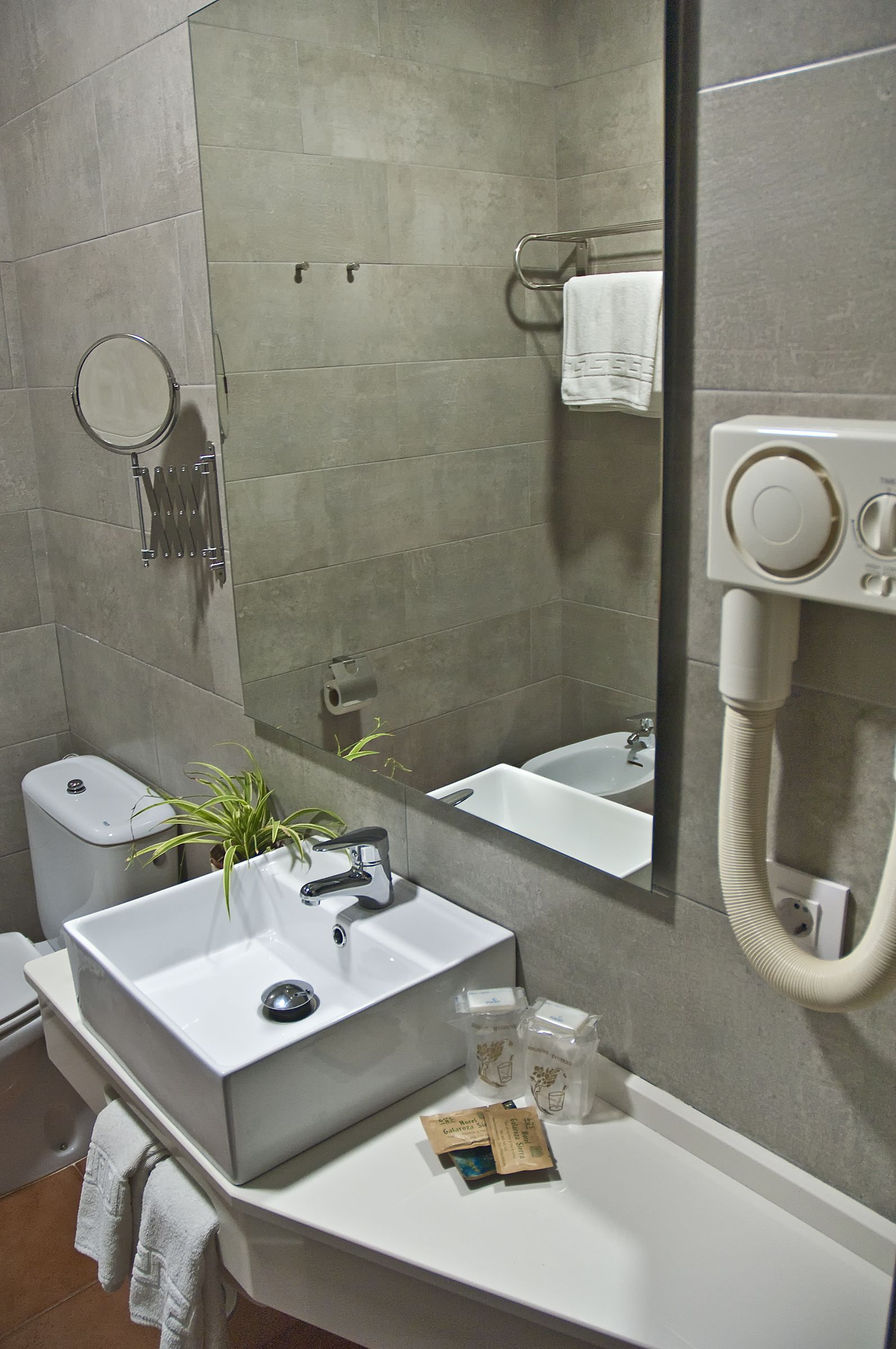 shower, free toiletries, hair dryer, bidet