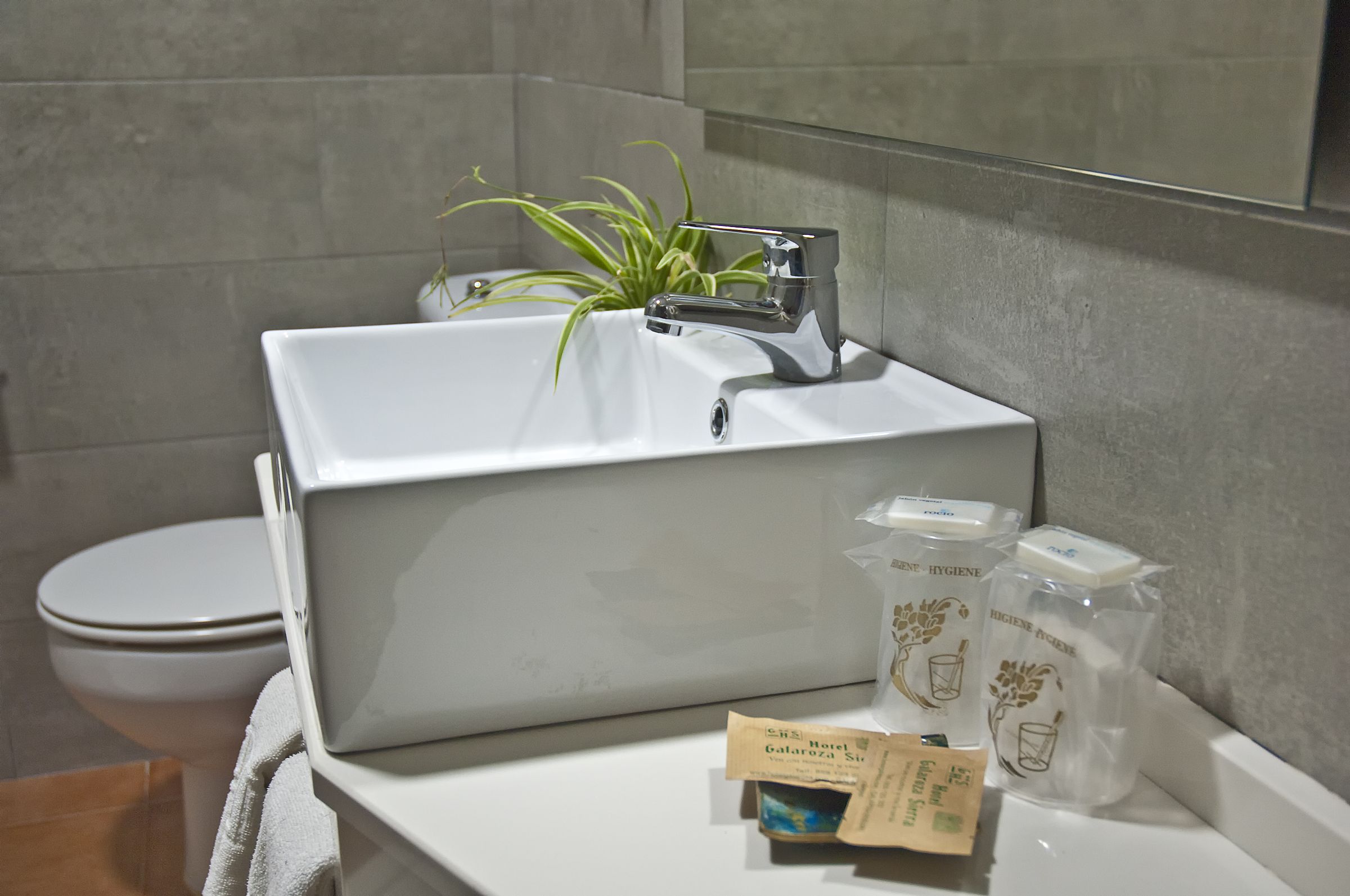 shower, free toiletries, hair dryer, bidet