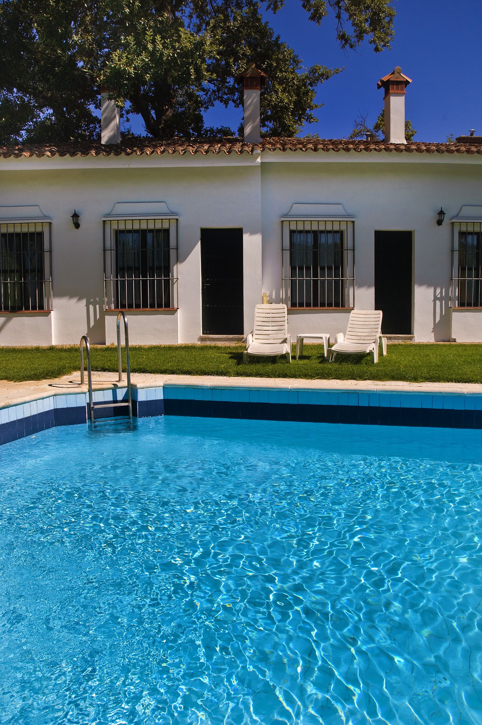 seasonal outdoor pool, open 11:30 am to 8:30 pm, pool loungers