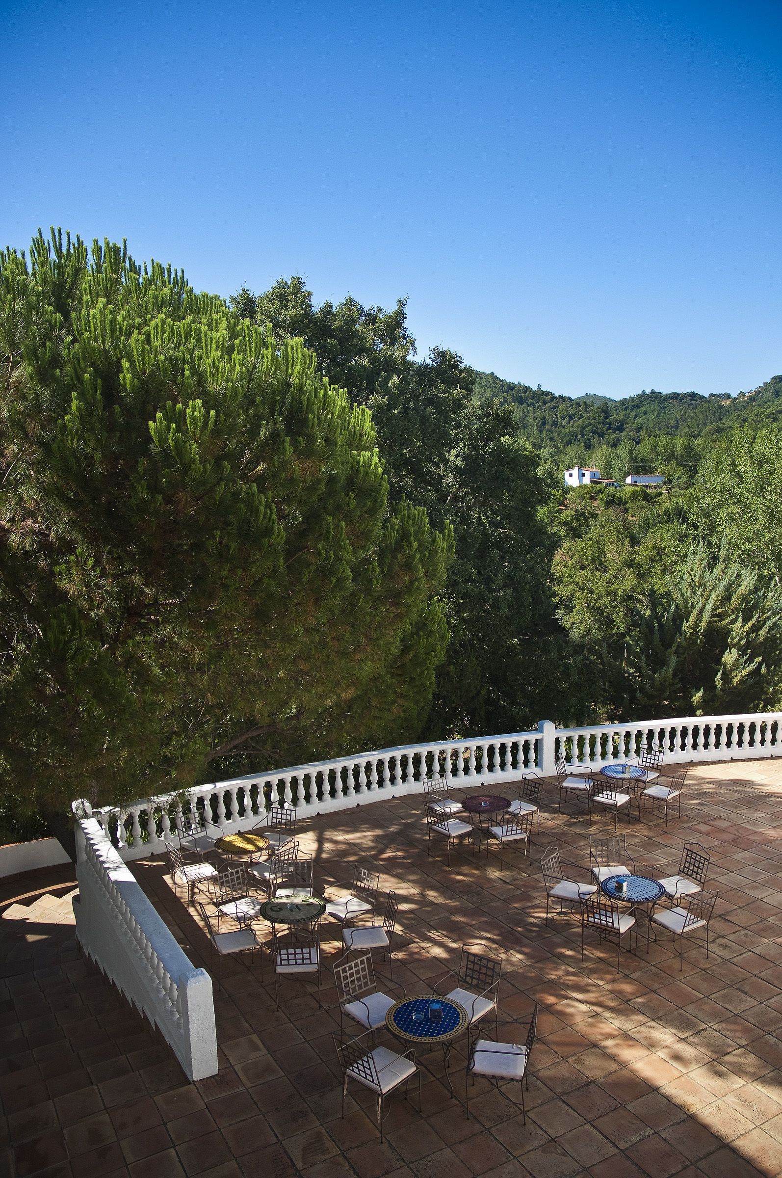 lunch and dinner served, local cuisine