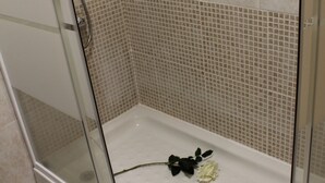 Bathroom shower - Cuatro Caños (Alcala de Henares)