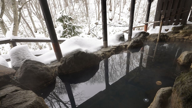 A tranquil outdoor setting with a clear water feature surrounded by rocks and a wooden deck. - Mori No Ryotei Mount Bandai (Inawashiro)