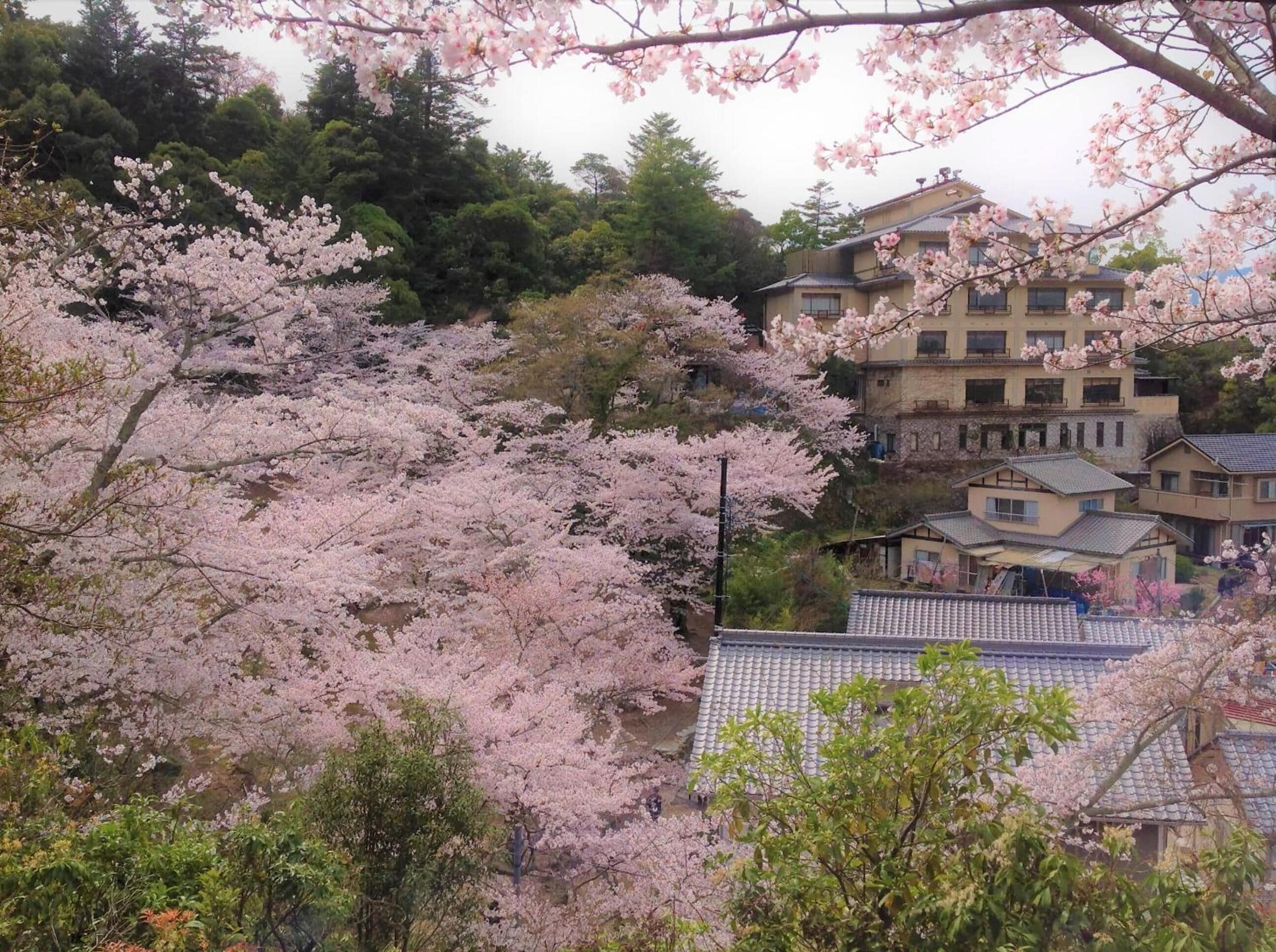 施設の敷地