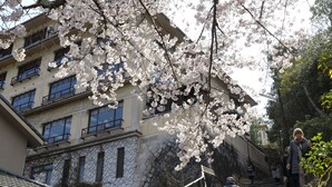 A building with multiple windows and balconies, surrounded by cherry blossoms. - Jukeiso (Hatsukaichi)
