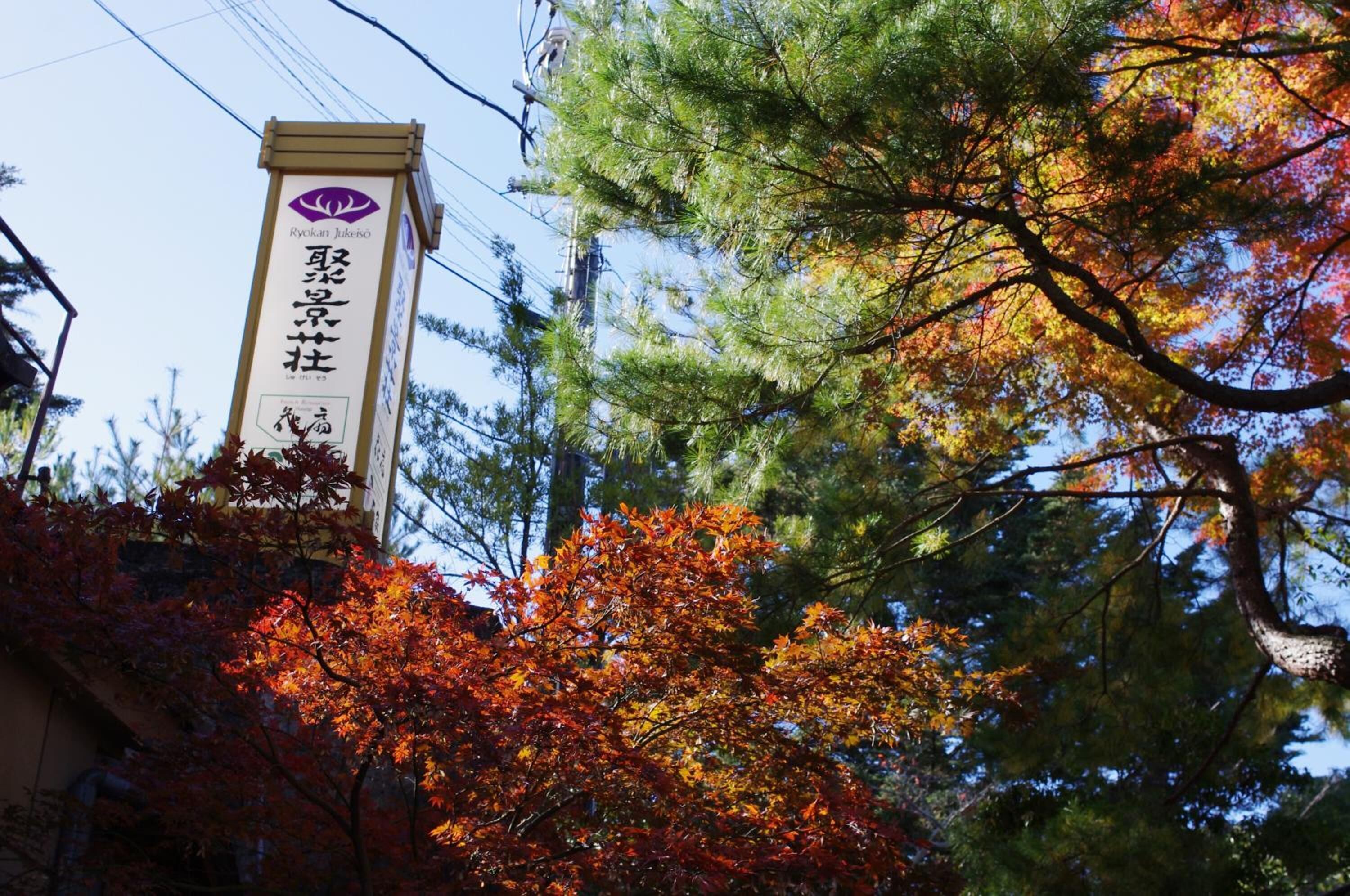 Une enseigne avec des caractères japonais et un logo, entourée d’arbres aux couleurs automnales.