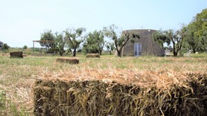 Hiking - Masseria Uccio (Tricase)