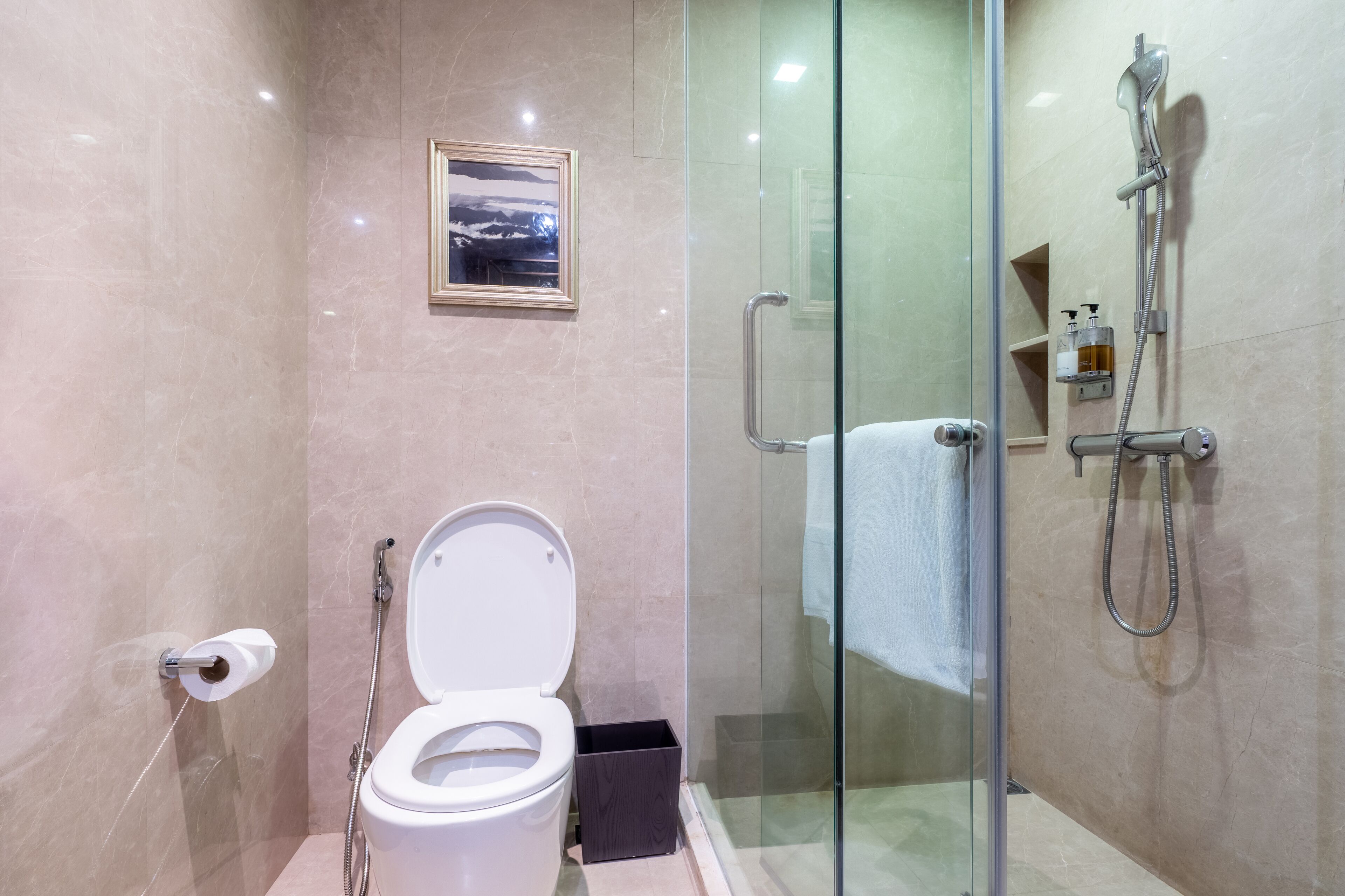 A modern bathroom with a glass shower enclosure, a toilet with a paper towel holder, and a framed picture on the wall.