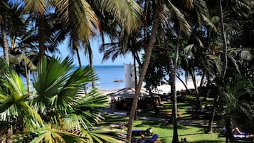 Jardim