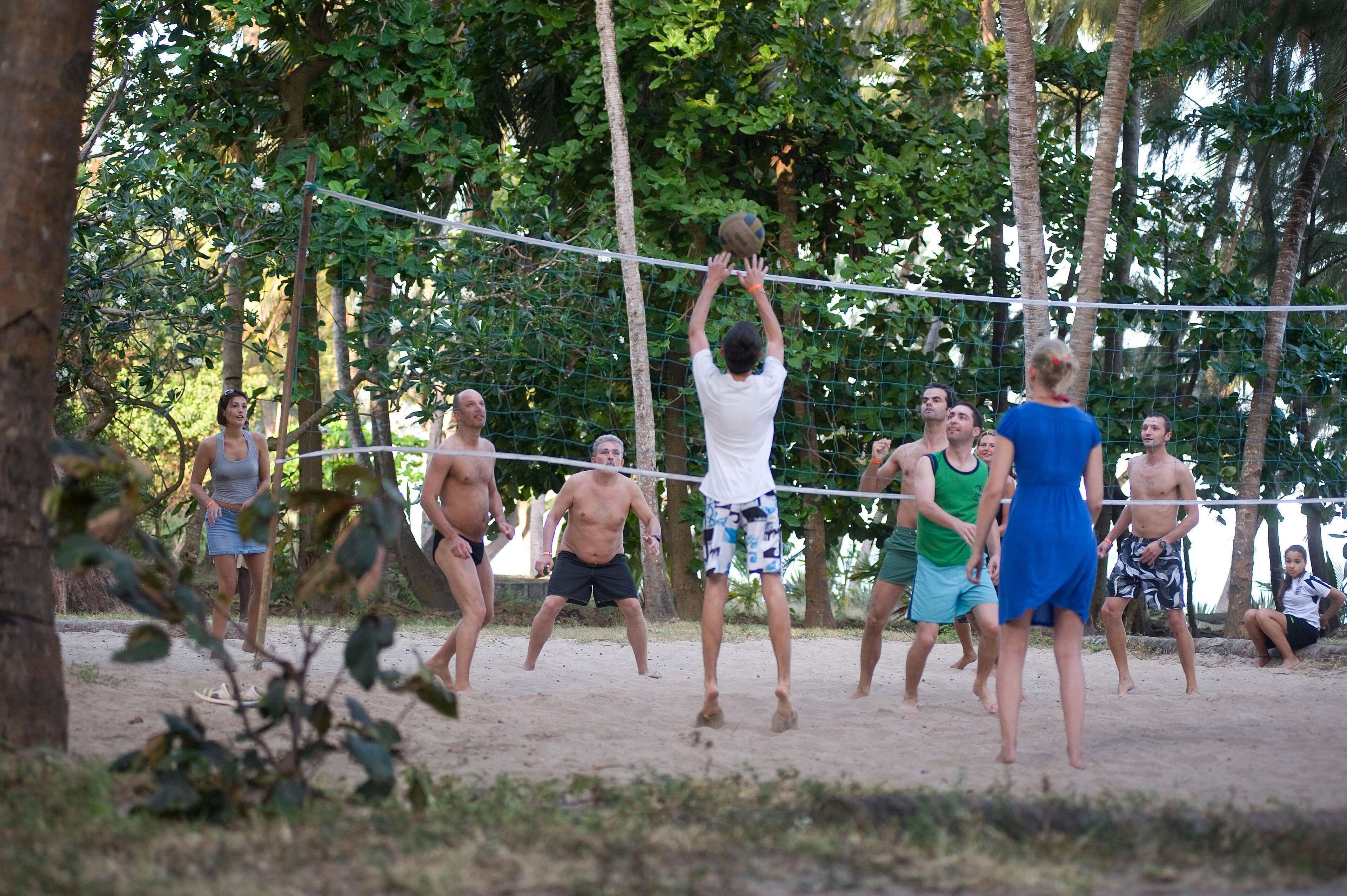Een groep mensen speelt volleybal op een zandveld, omringd door bomen.