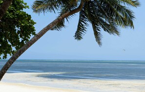 On the beach, white sand, beach volleyball - Severin Sea Lodge (Mombasa)