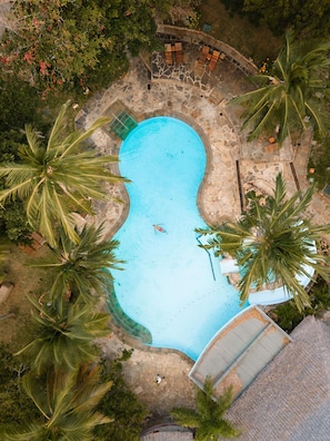 Vista aérea de una piscina rodeada de palmeras y senderos de piedra.