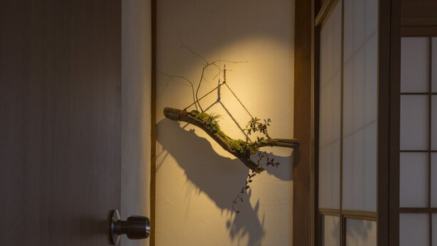 A hallway with a wooden floor, a door with a metallic handle, and a wall-mounted light fixture with a hanging plant. - Sheena and Ippei - Hostel (Tokyo)
