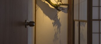 Sheena and Ippei - Hostel