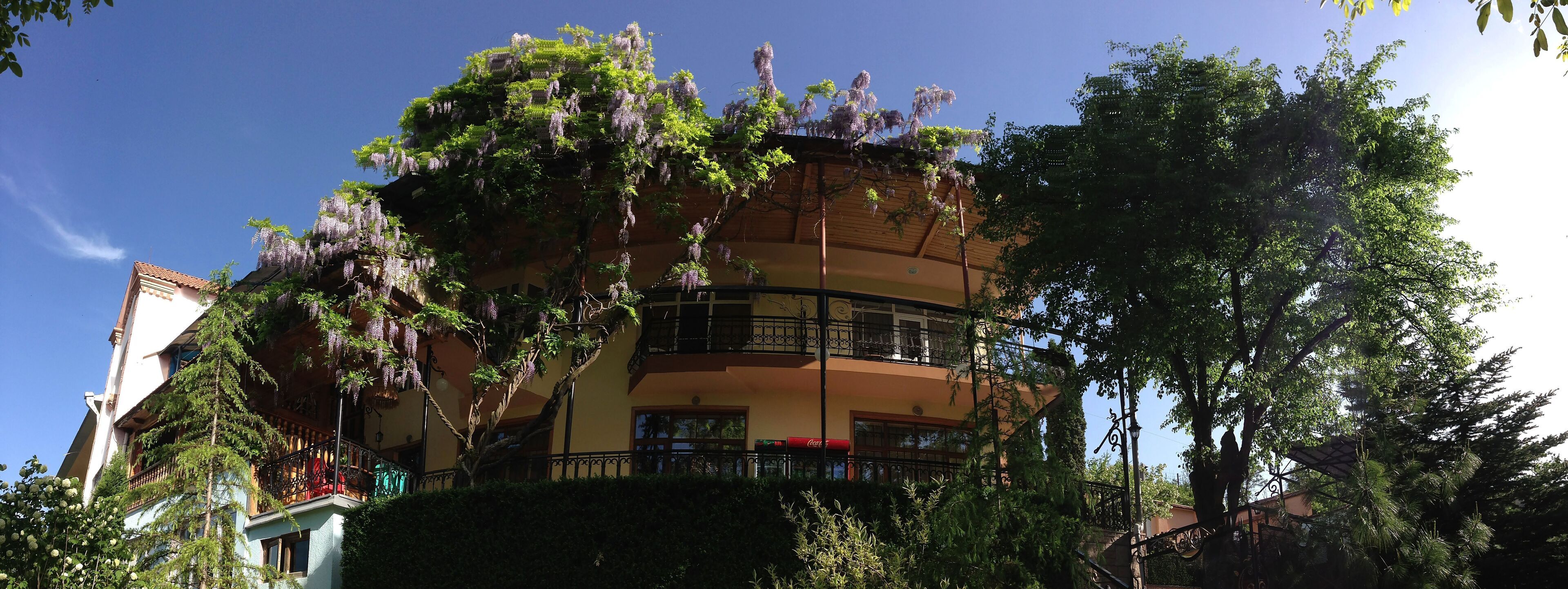 A multi-story building with balconies, surrounded by lush greenery and trees.
