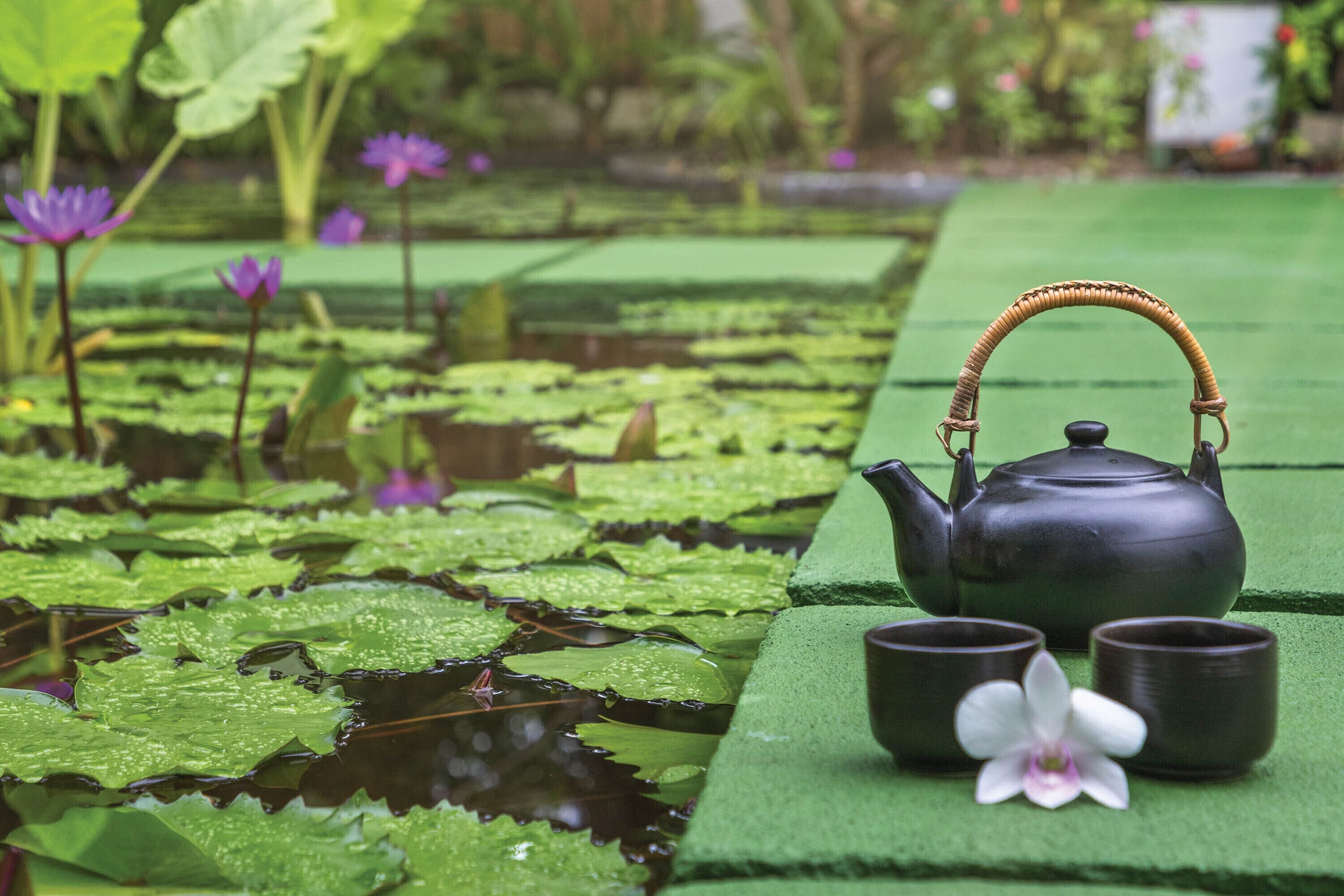 A teapot and two cups on a green surface with lily pads and purple flowers in the background.
