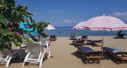 Perla