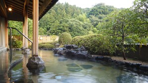 A traditional Japanese garden with a stone pond, wooden walkways, and lush greenery. - Kasuien Minami (Matsue)