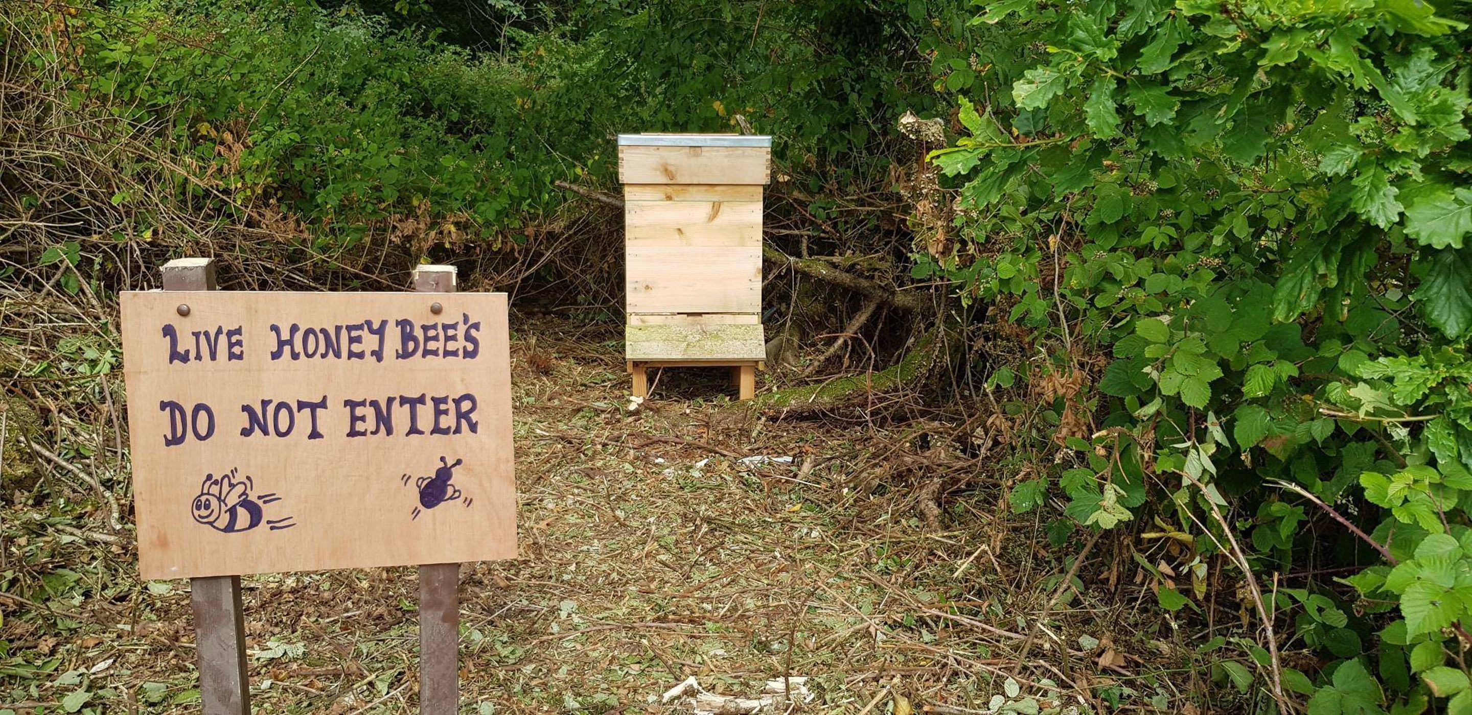 Un letrero de madera con una ilustración de abeja y el texto 'Live Honey Bees - Do Not Enter'.