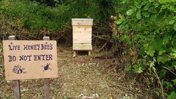 Un letrero de madera con una ilustración de abeja y el texto 'Live Honey Bees - Do Not Enter'.
