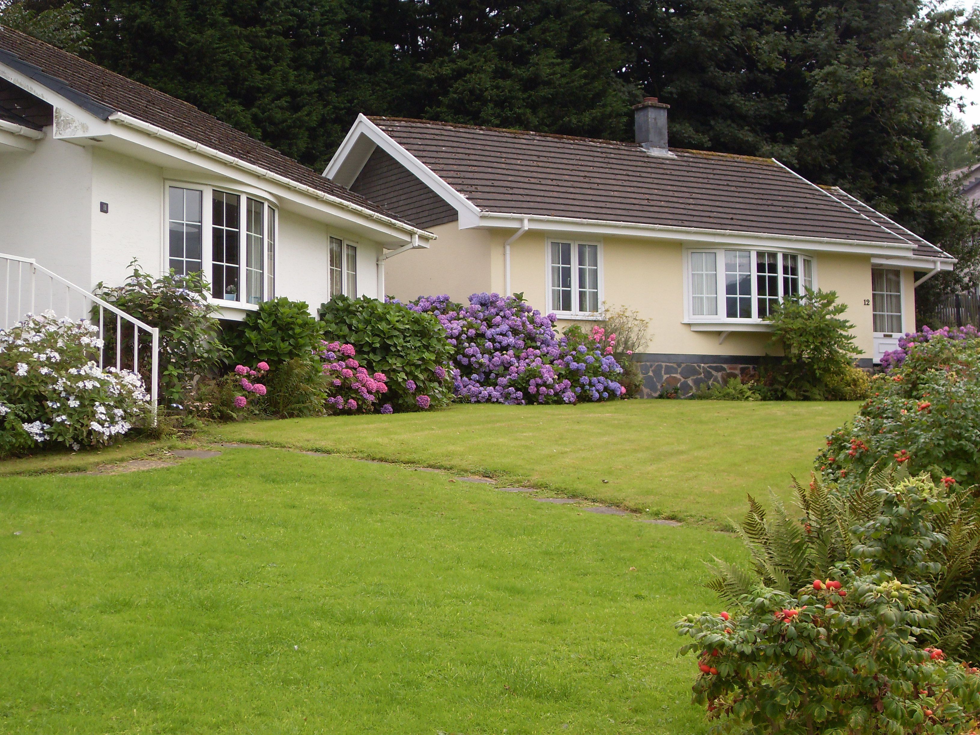 A two-story house with a well-maintained lawn and a variety of flowering shrubs.