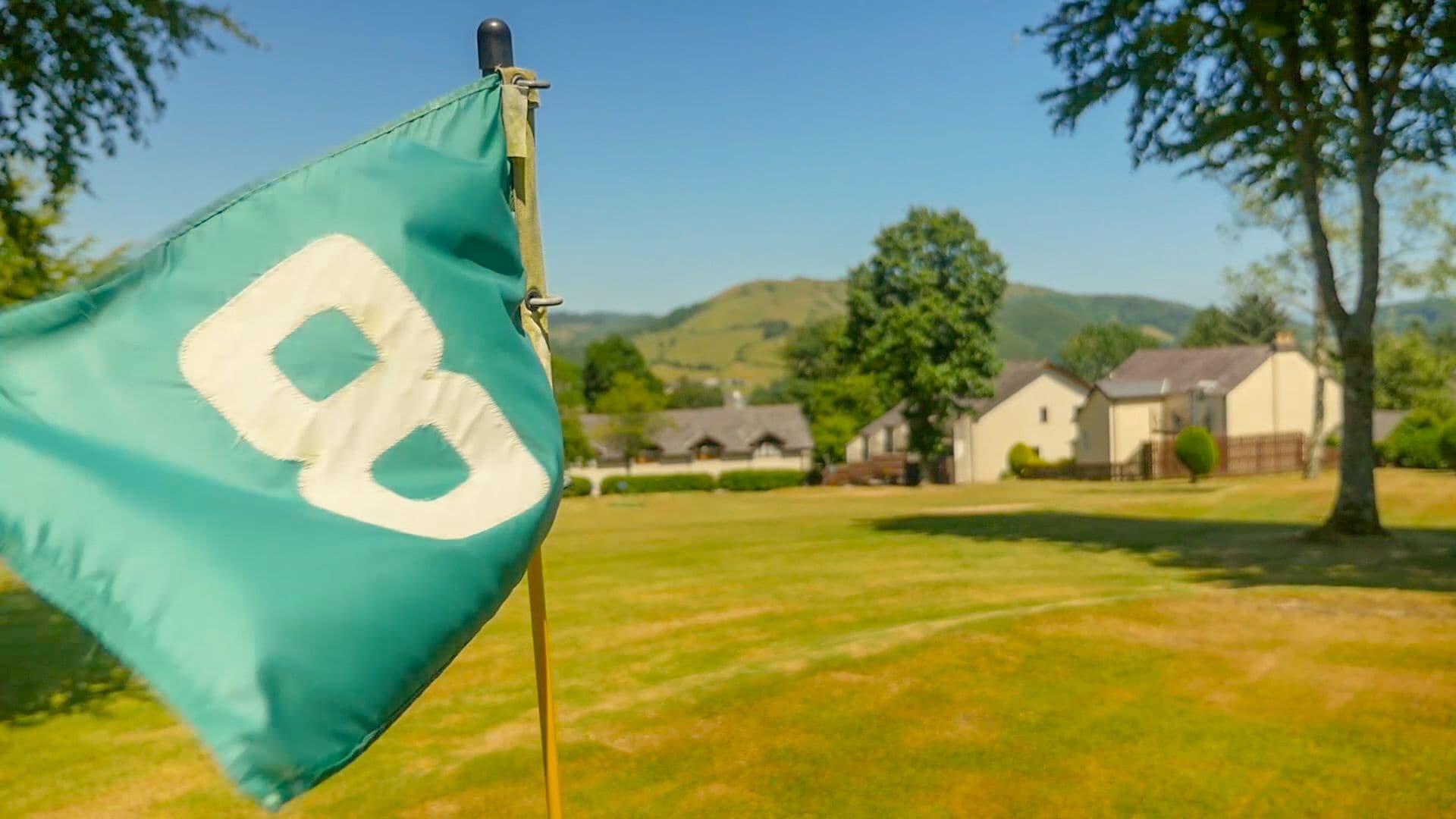 Un drapeau orné d’un emblème blanc, flottant au sommet d’un mât dans une zone herbeuse, avec des maisons et des collines en arrière-plan.