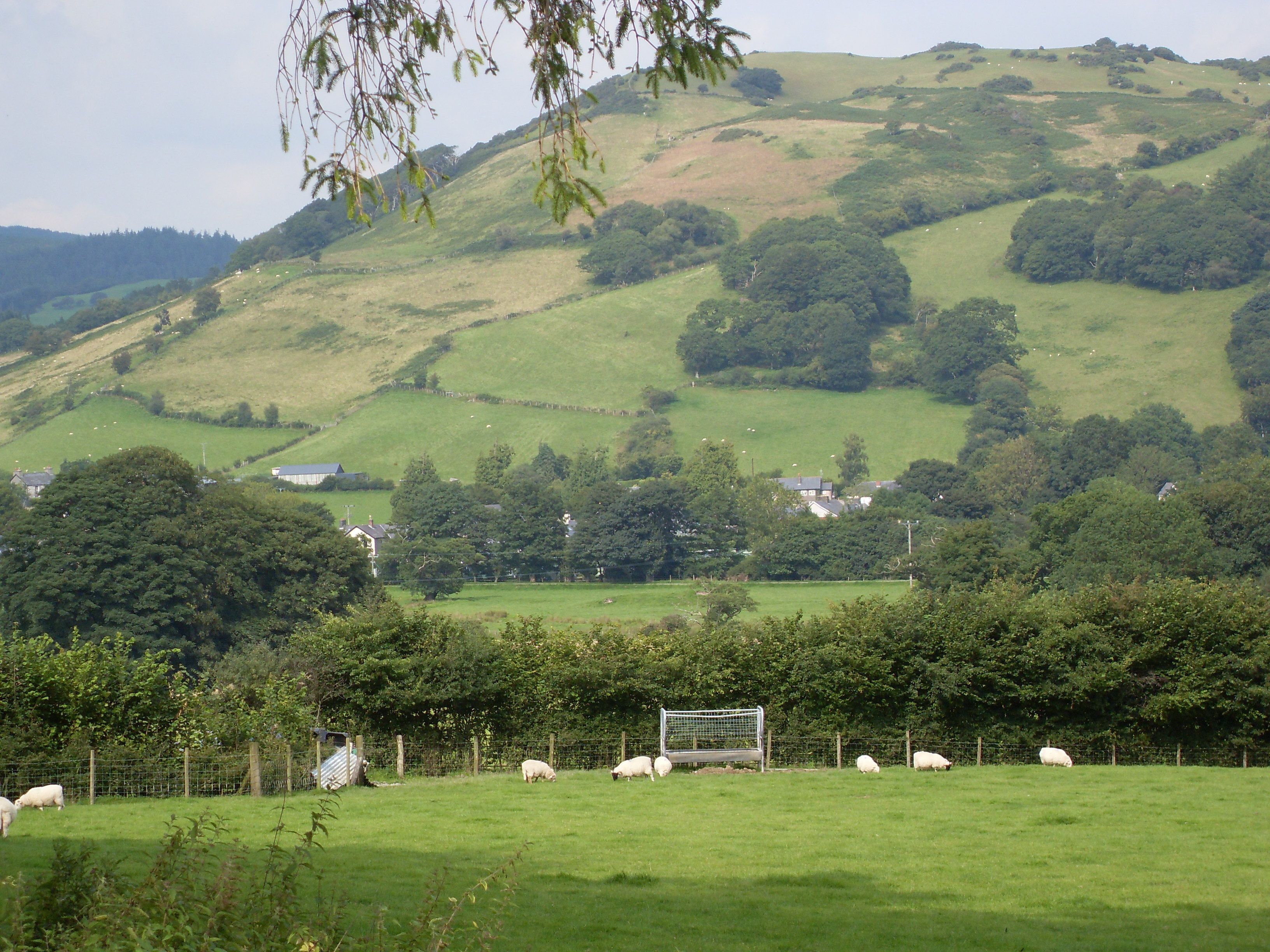A rural landscape with rolling hills, a fenced field with grazing sheep, and scattered houses.