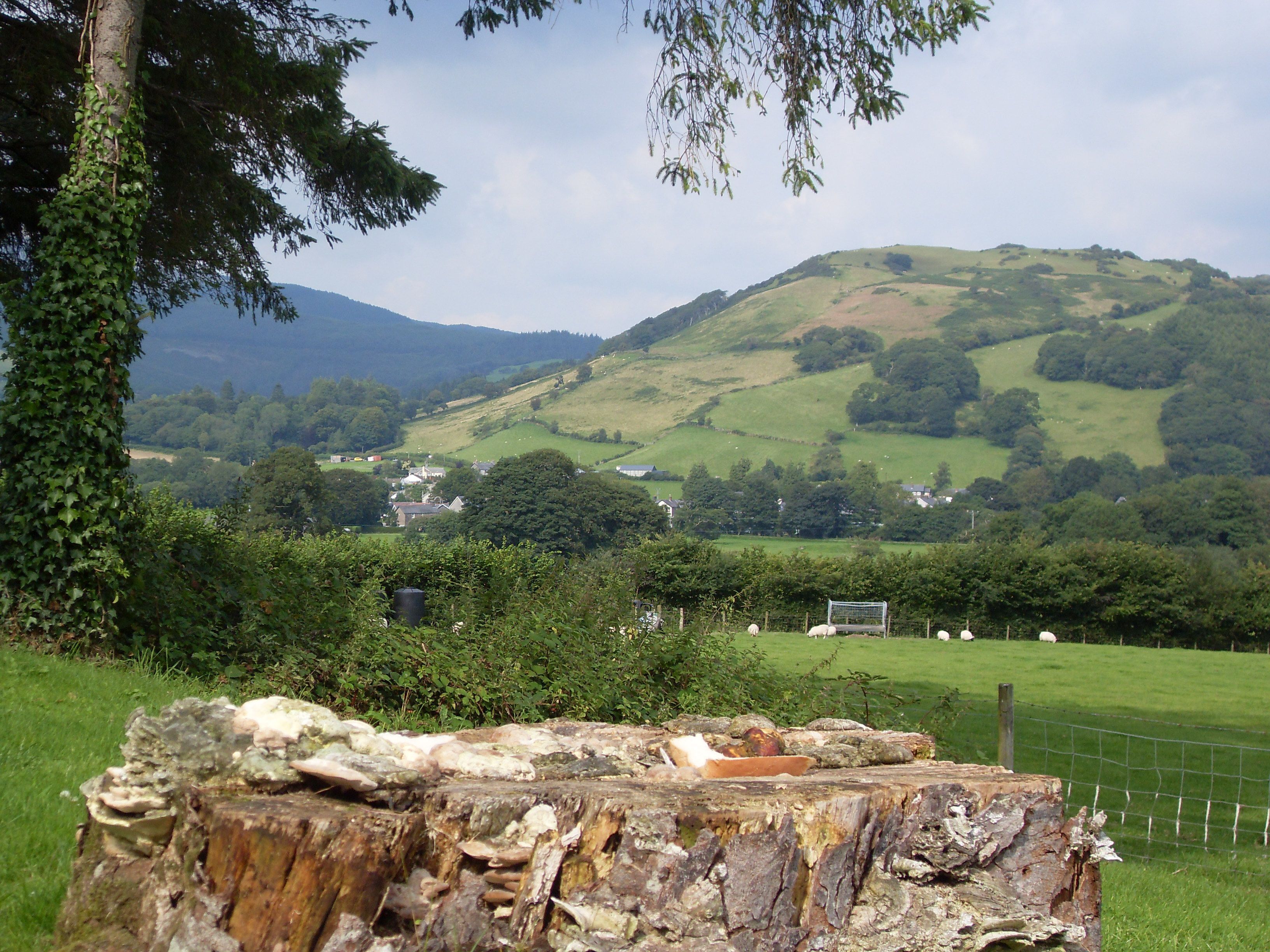A rural landscape with a tree stump in the foreground, a grassy field, and a hill with scattered houses in the background.