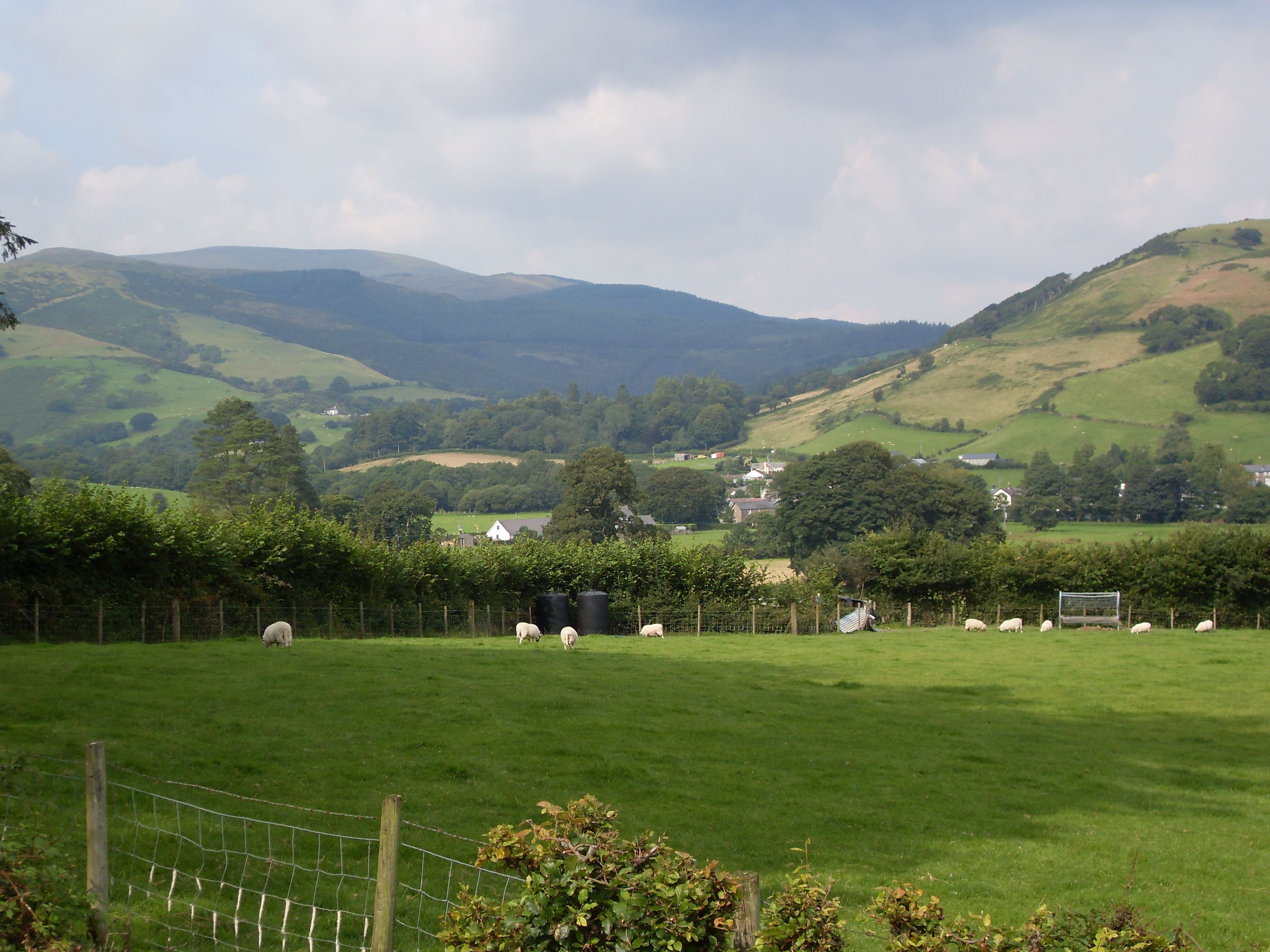 Ländliche Landschaft mit einer grünen Wiese, Schafen und sanften Hügeln im Hintergrund.