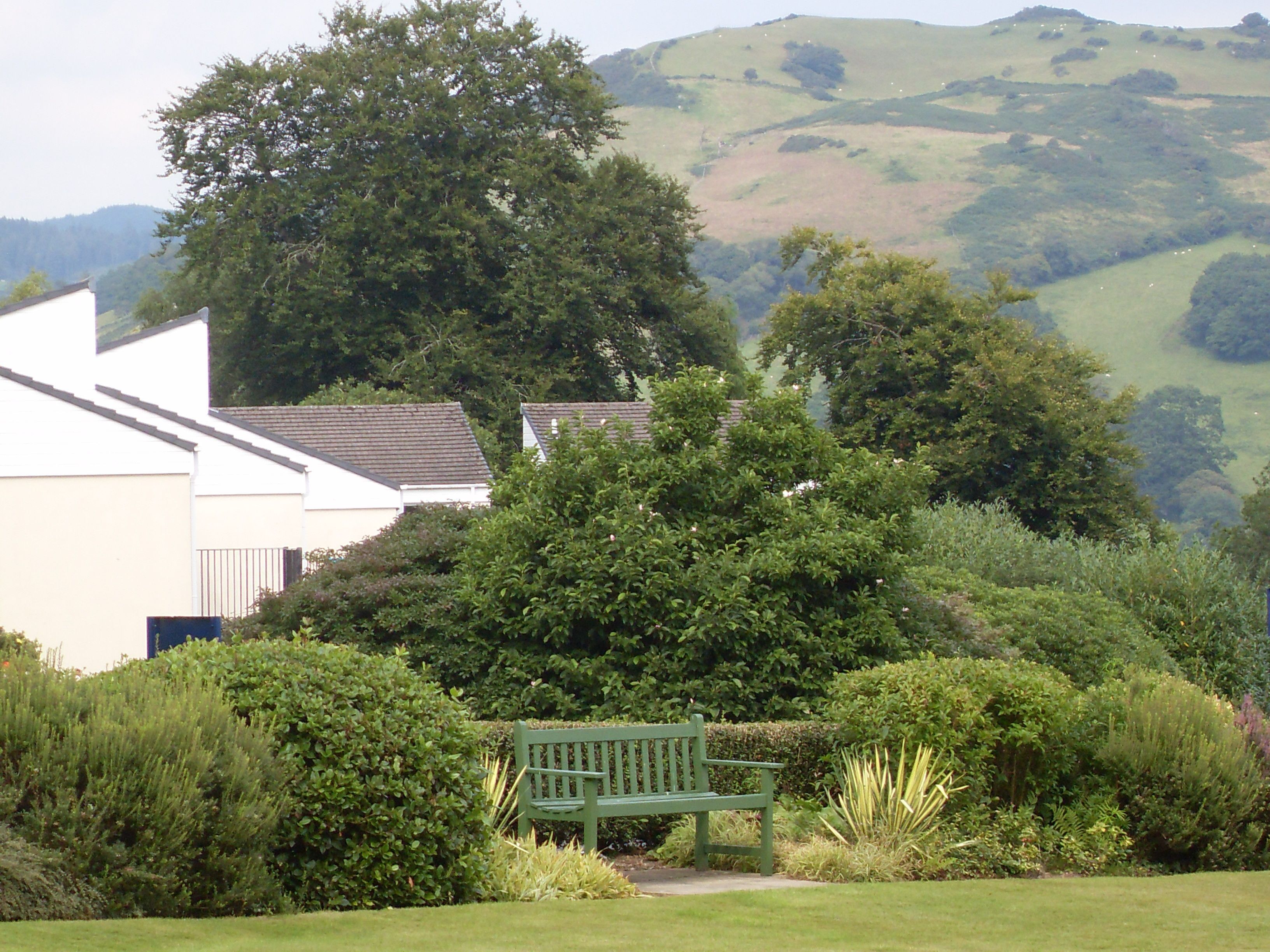 A green bench in a garden with a white building in the background.