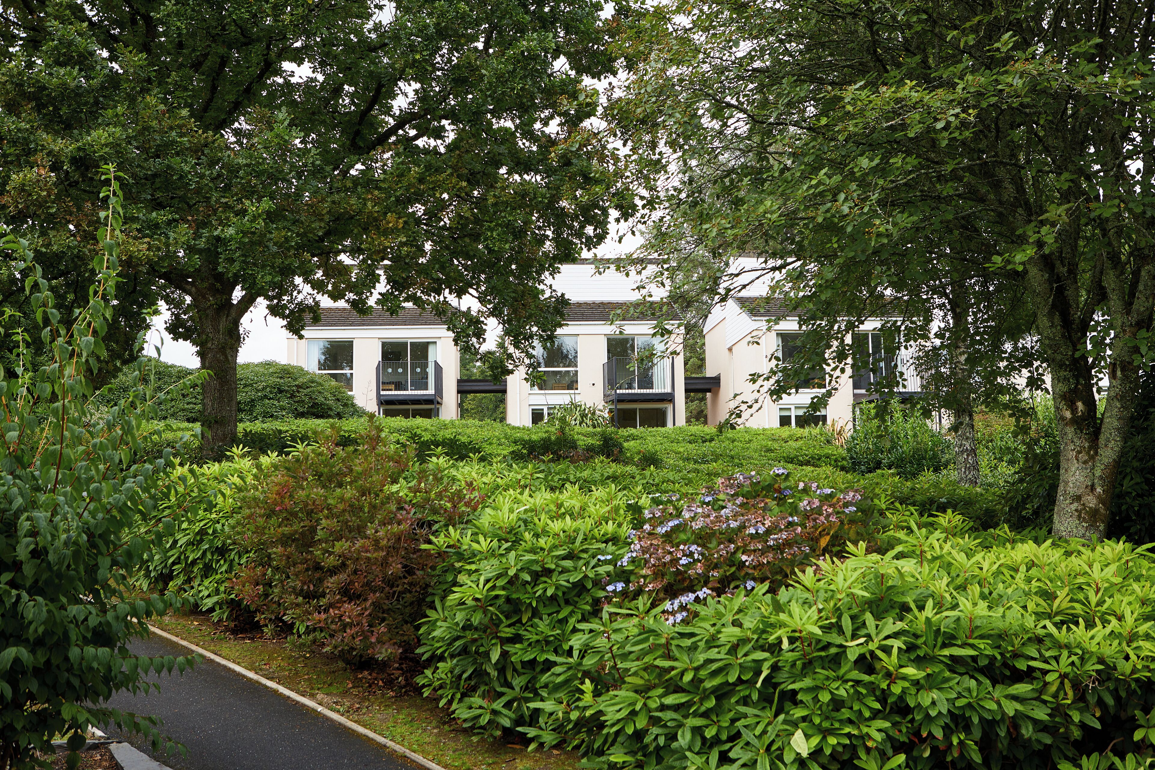 A pathway flanked by lush greenery and mature trees, leading to a modern building with large windows and a flat roof.