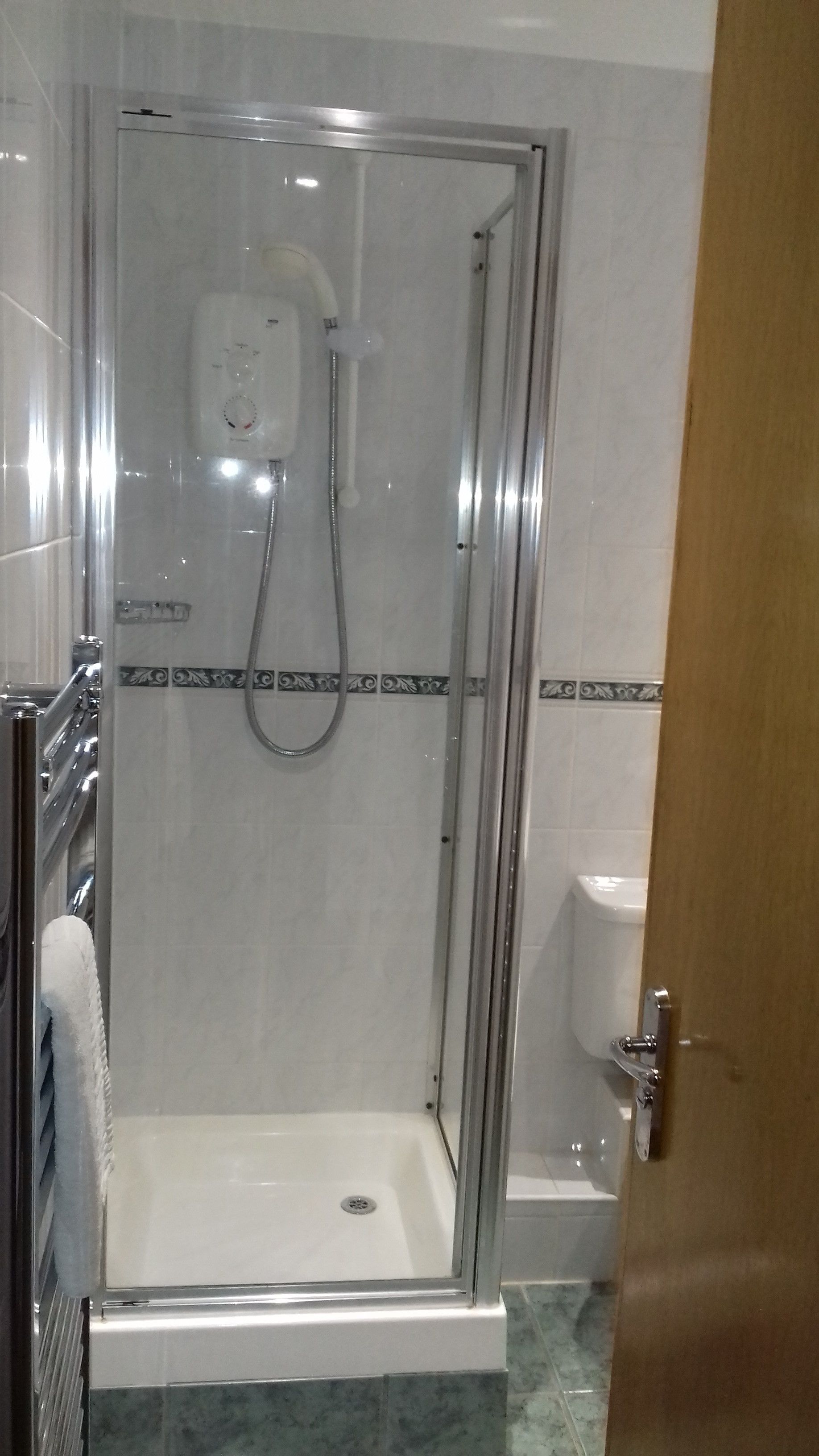 A glass-enclosed shower stall with a handheld showerhead, a white toilet, and a marble-tiled floor.