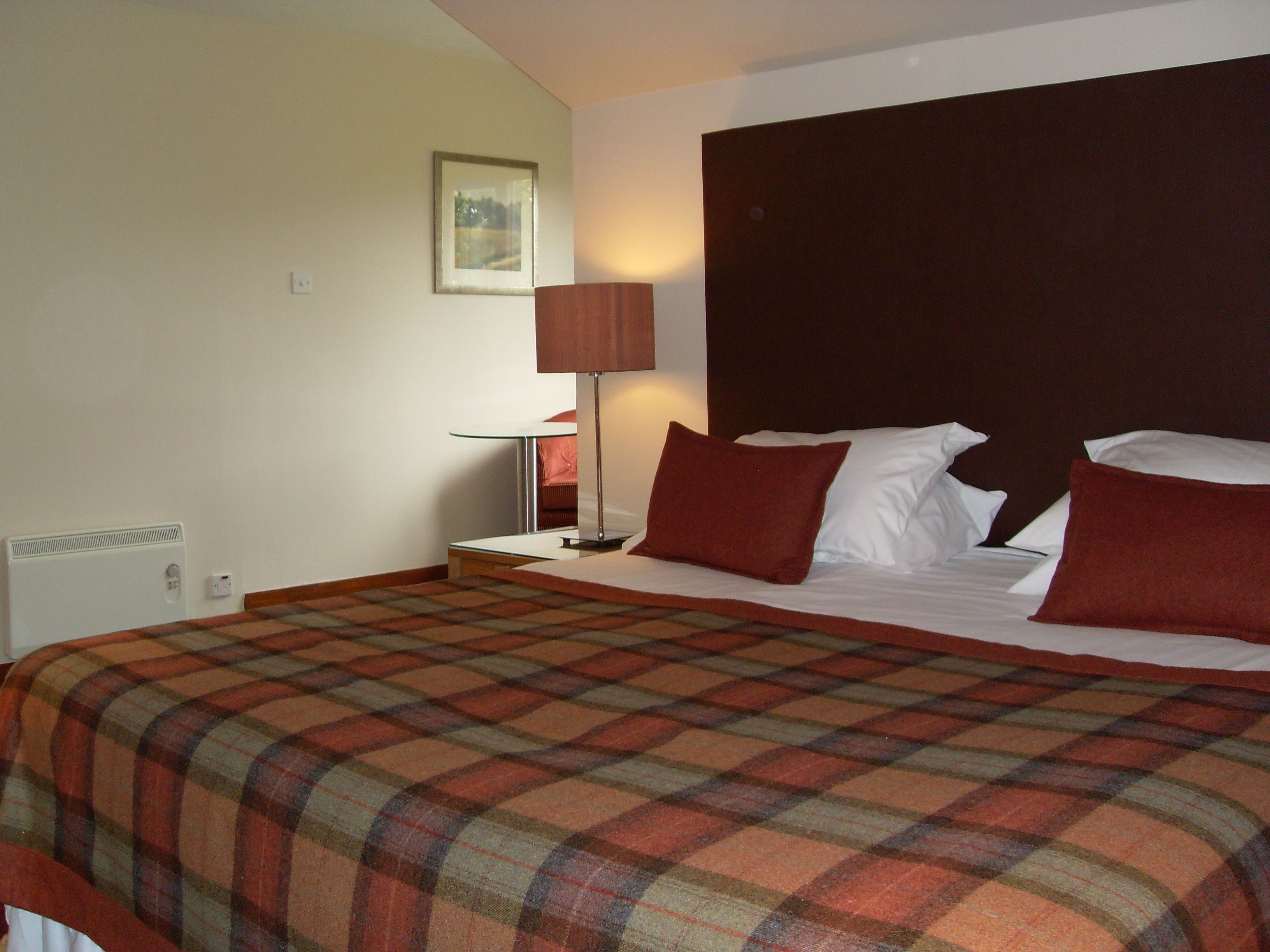 A hotel room with a large bed, a nightstand, a lamp, and a framed picture on the wall.