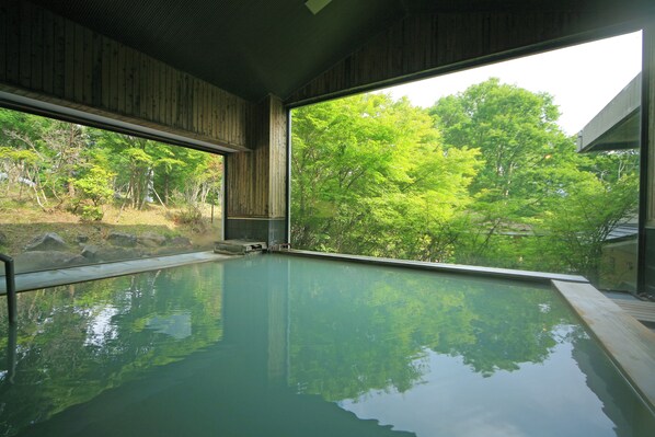 A large indoor swimming pool with a view of lush green trees.