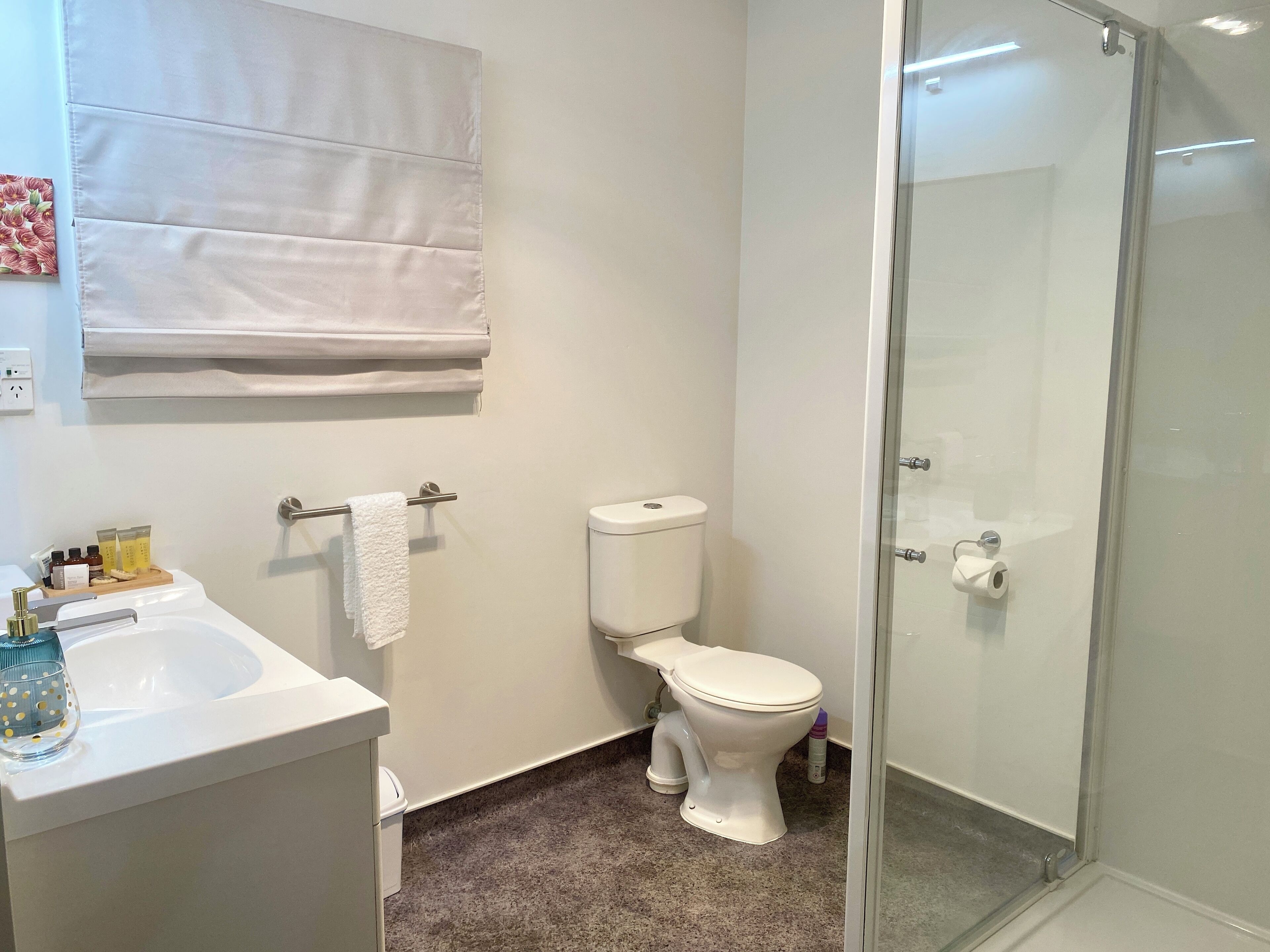 คลาสสิกอพาร์ทเมนท์, 1 ห้องนอน, วิวสวนสาธารณะ | ห้องน้ำ | ฝักบัว, ไดร์เป่าผม, ผ้าเช็ดตัว, สบู่