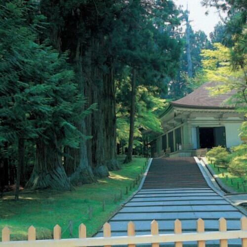 Hotel Mori no Kaze Oshuku