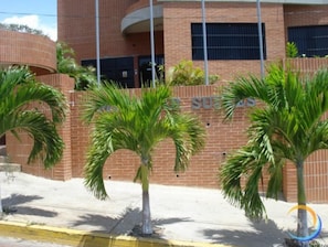 Vista desde la propiedad