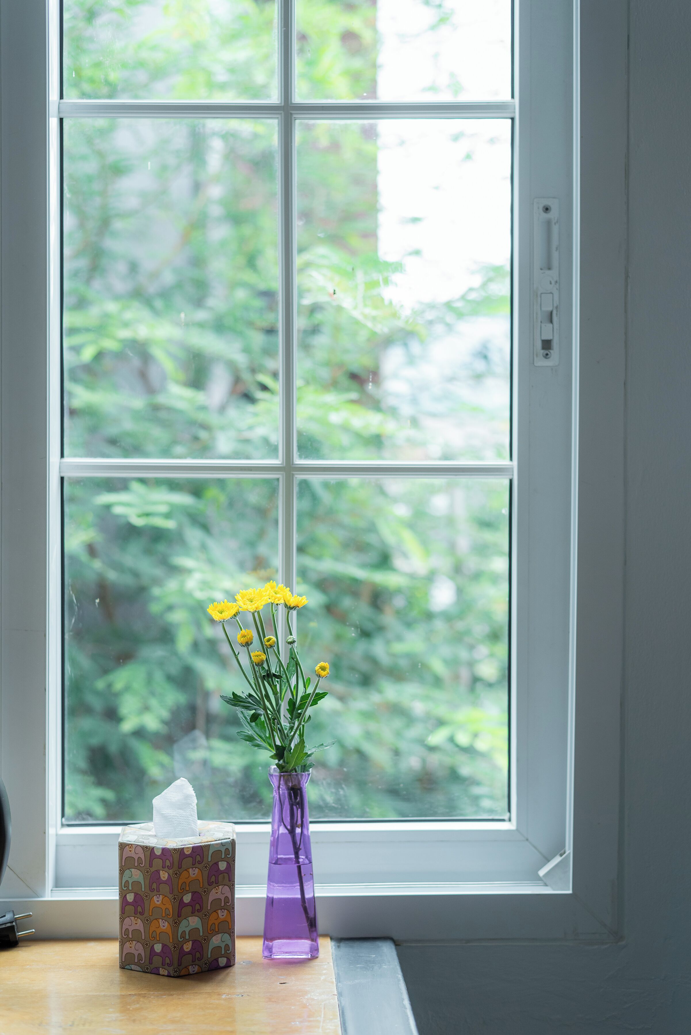 Una ventana con una caja de pañuelos y un florero con flores en el alféizar.