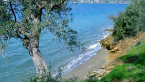 A coastal landscape with a tree in the foreground, a rocky shoreline, and a view of the sea. - Seralis (South Pelion)