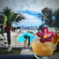 Dinner served, local and international cuisine