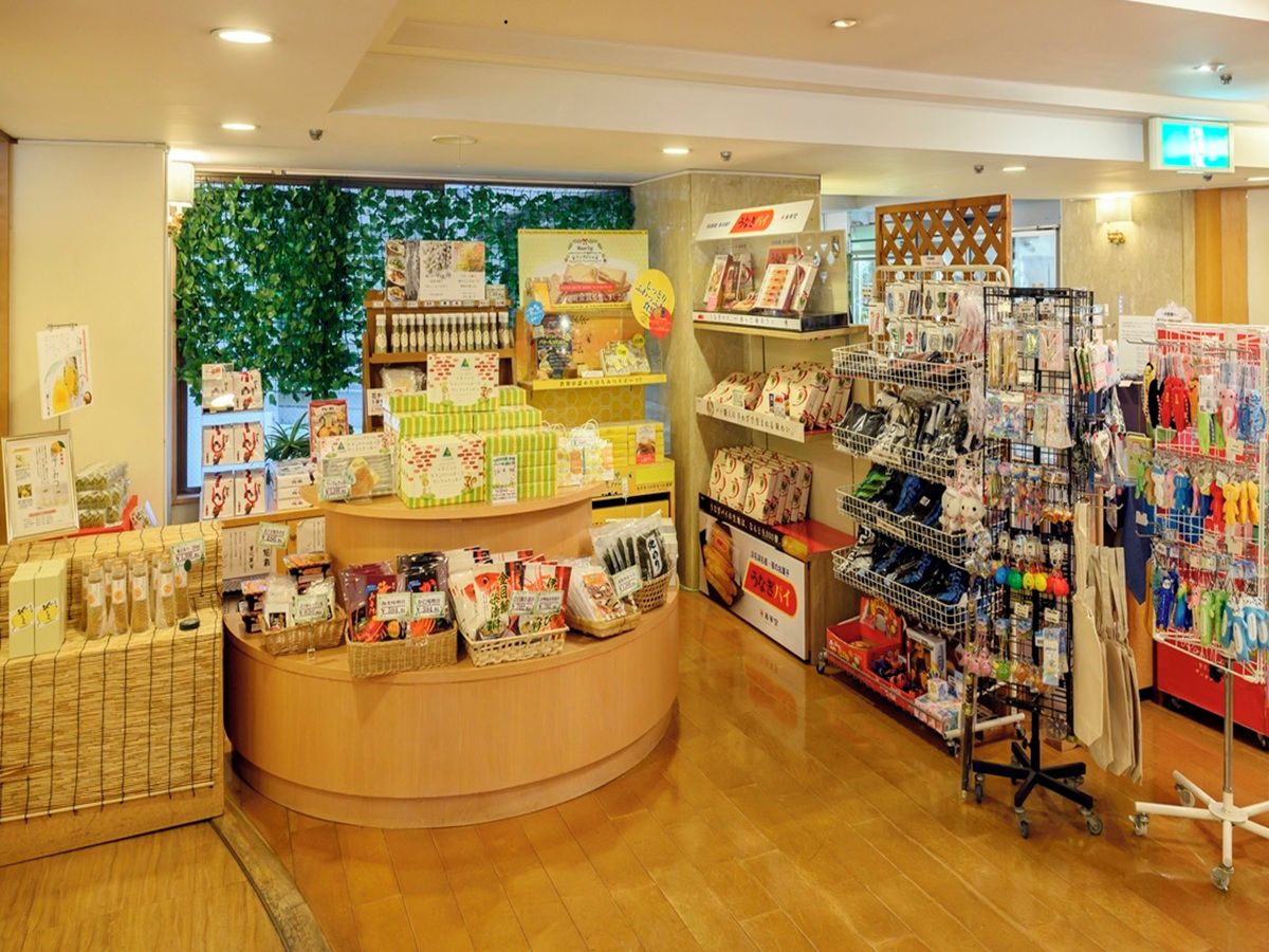 A retail store with a wooden counter, shelves stocked with various products, and a display area with hanging items.