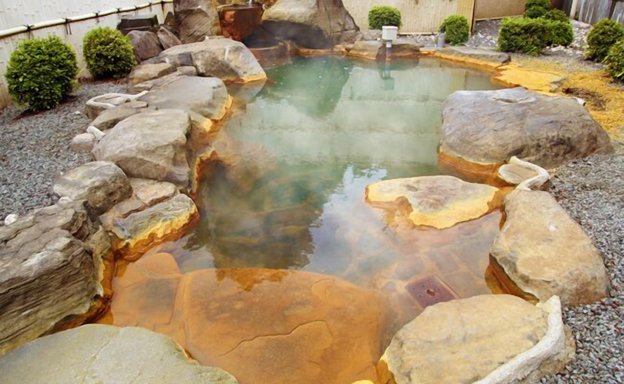 Natural pool