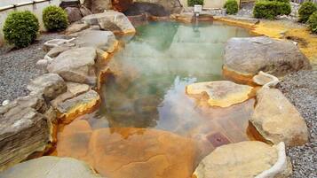 Natural pool
