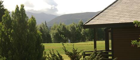 Una baita di legno con tetto spiovente, immersa in un prato erboso e circondata da alberi fitti.