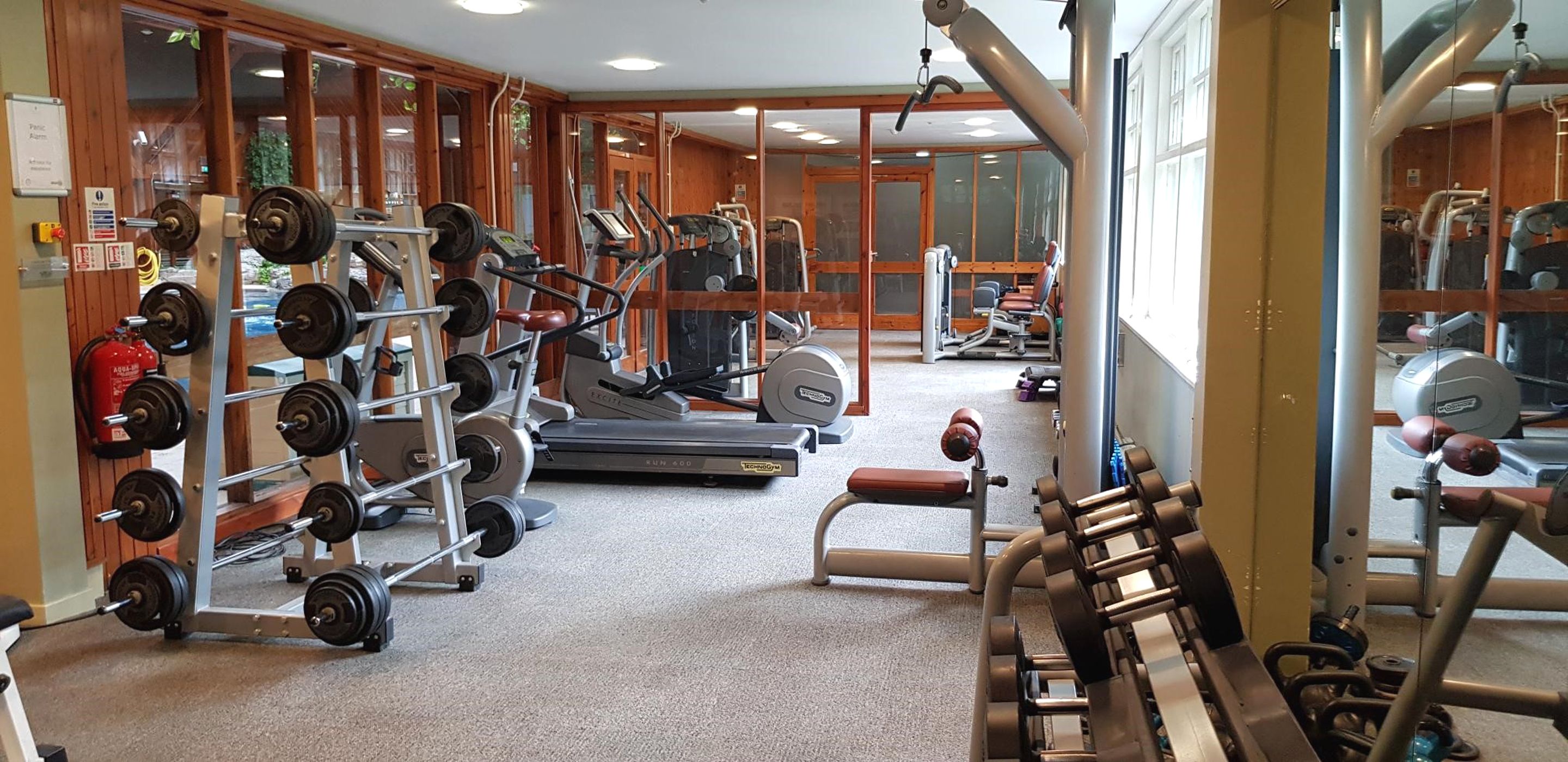 A gym with various exercise equipment, including treadmills, weight machines, and free weights.