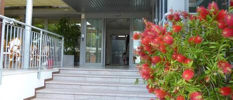 A staircase leading to a building entrance with a metal railing and a bush with red flowers.